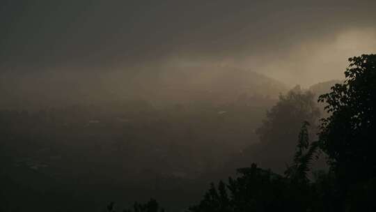 雾，森林，多雨，阴霾