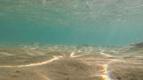 海水下景观