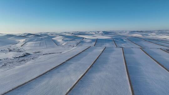 内蒙古雪域雪原田野雪景风光