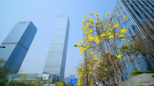 南宁五象新区街景 现代化高楼林立城市穿梭