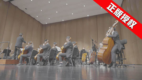 交响乐管弦乐指挥家音乐厅log素材