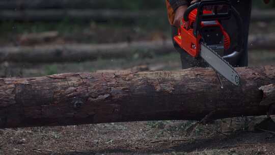 一个人用电锯锯木头，电锯上有很多飞溅的碎片和条子。伐木工人砍树