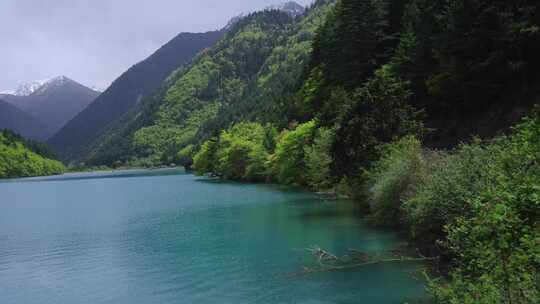 九寨沟春天的景色