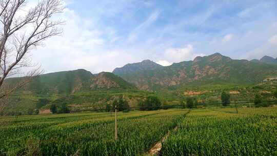 坐车风景