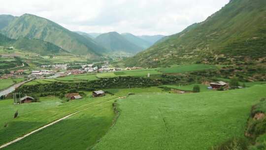 高原村庄田园森林风景