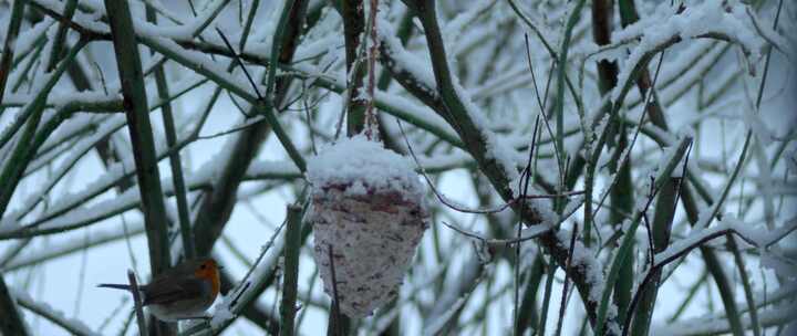 雪中送炭