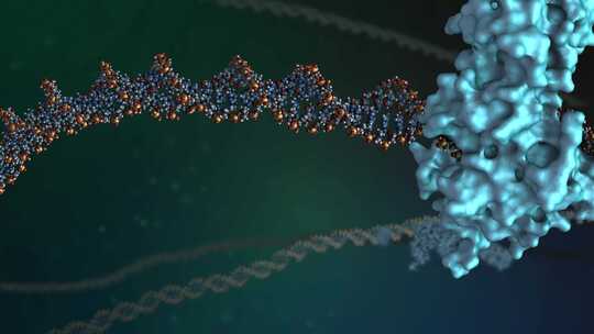 遗传基因组织DNA真核细胞染色体生物科学视频素材模板下载