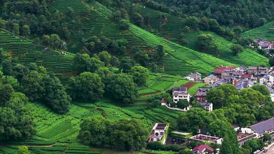 杭州西湖龙井茶园梅家坞清新茶山