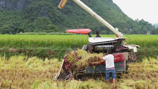 田园风光中使用收割机收割水稻的景象