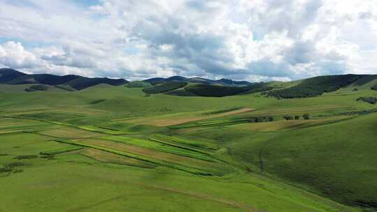 航拍承德丰宁七彩森林景色  坝上草原风景