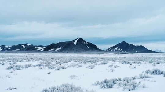 雪山下的雪地风光