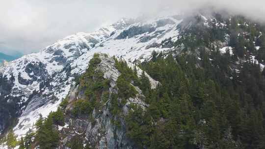 航拍被大雪覆盖的森林与山脉
