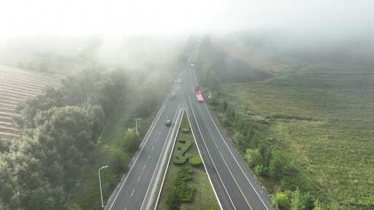浓雾天气道路交通汽车行驶安全