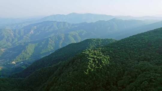 航拍青山森林自然风景