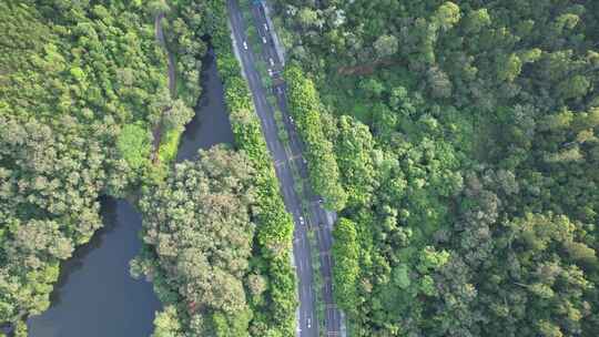 山林间道路航拍