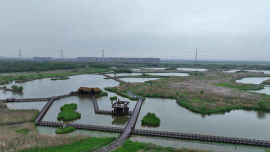 杭州湾湿地公园马拉松