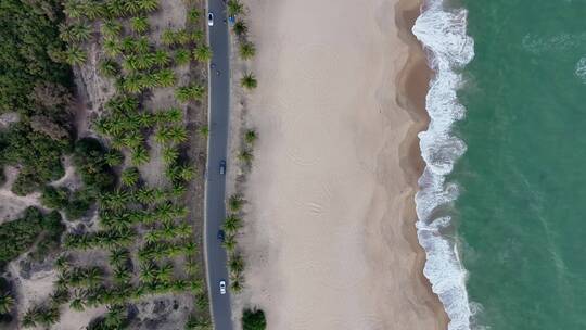 海边公路沙滩海浪椰树林航拍俯瞰视频素材模板下载