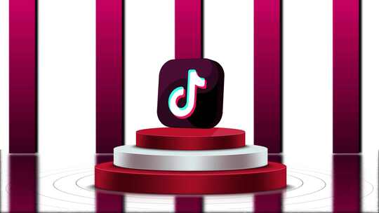 TikTok 3D支架徽标动画