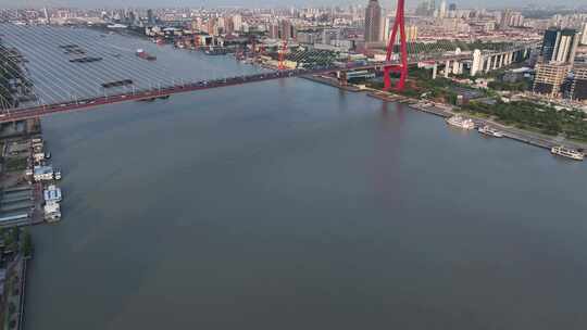 杨浦滨江 杨浦大桥视频素材模板下载