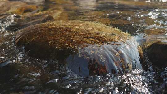 溪水水流河流大自然野外小溪