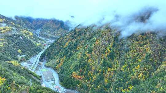 山林间的公路及周边多彩树木景色