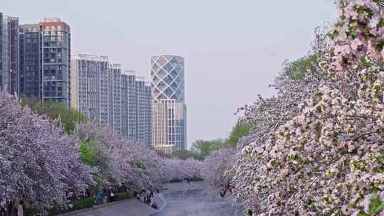 北京望京海棠花溪