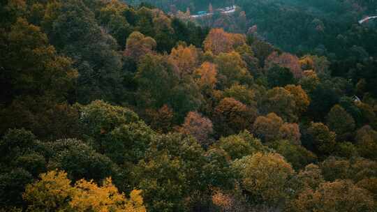 秋色白石山