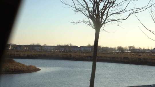 河流 小溪 田园风光 路边风景 灌木丛 旅行