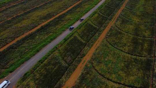越野种植园田里皮卡的航拍镜头