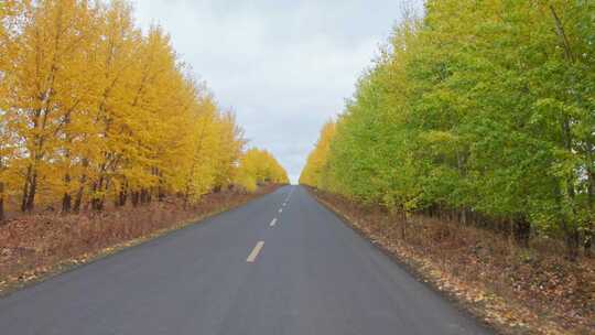 秋天呼伦贝尔中俄边境边防公路卡线沿途风景