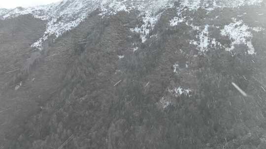 航拍下雪中的山脉视频素材模板下载