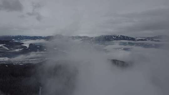 山、雪、雾、树林