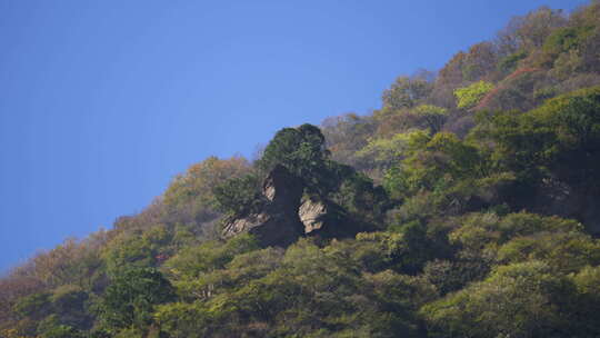 秦岭秋季风景