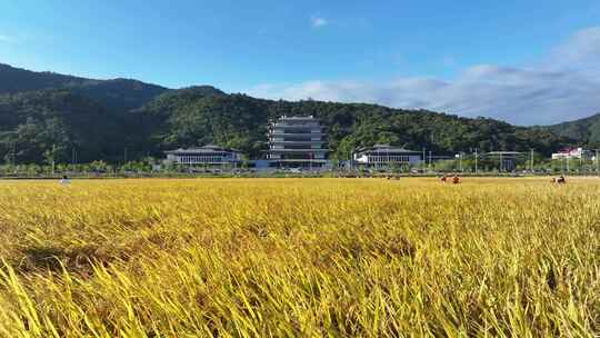 中国广东省广州市从化区广州国家版本馆