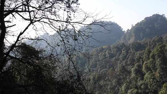 青城山风光