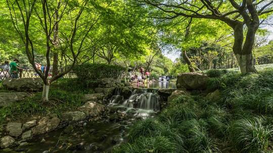 杭州西湖 春天 溪流 光影 延时