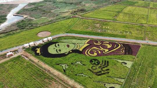 田野女神 稻田守护神 昆明福保小三亚 4k