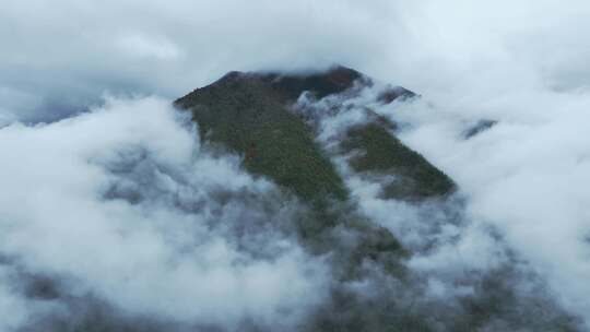 无人机航拍西藏林芝秋天高山林海云雾景观