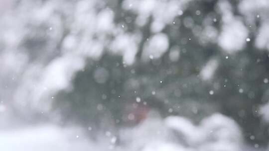 下雪、下雪天、雪