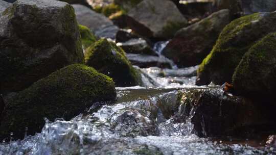 河流溪流溪水泉水河流水流河水水源山水河水