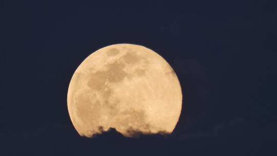 金色月亮缓缓升起