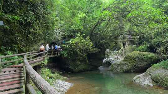 成都青城山后山峡谷森林步道溪流自然景观