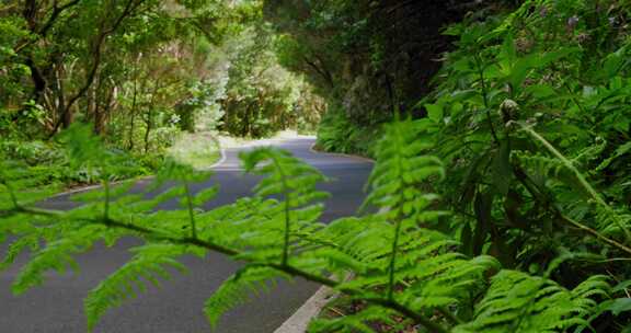 Anaga National Park，