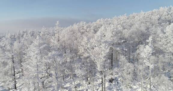 零下40度的低温航拍大兴安岭冰雪雾凇