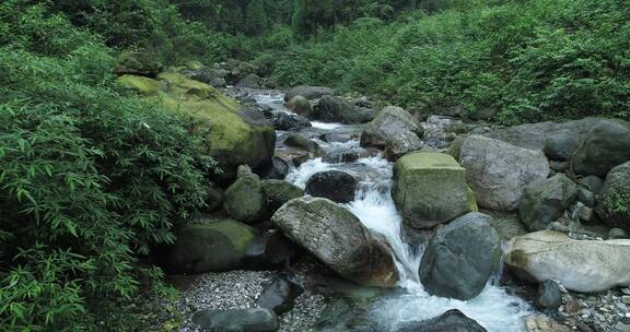 夏季峨眉山后山大沟溪水清凉