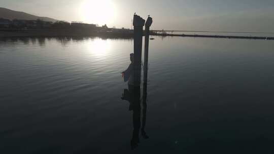 青海青海湖湖面雕像航拍4K视频