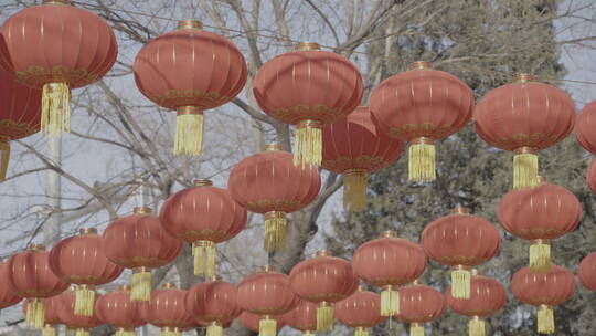 北京胡同过年街景气氛 春节街景氛围