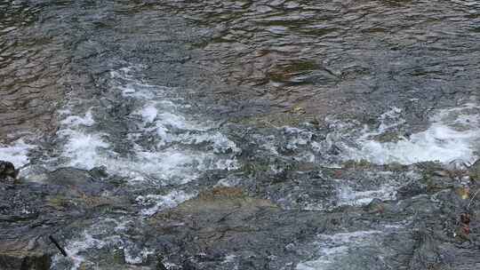 大山里的小溪河流石头水花唯美生态