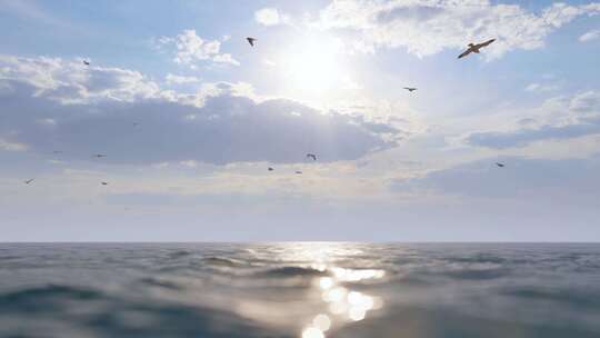 4K海鸥飞翔 海面夕阳下的海鸥群