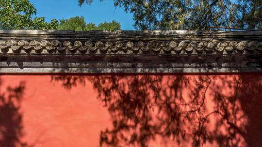 北京颐和园红墙树枝光影延时视频素材模板下载